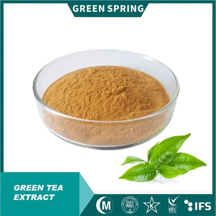 Green Tea Extract Powder